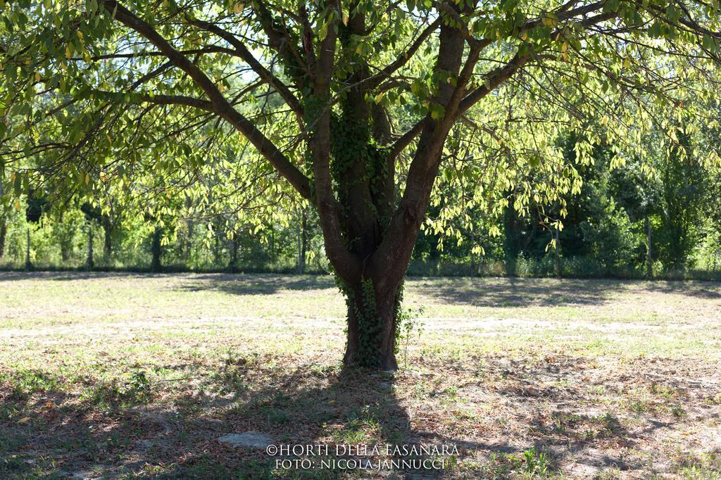 Horti Della Fasanara Ferrara Exterior foto