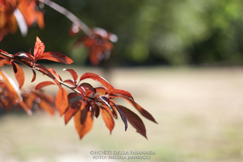 Horti Della Fasanara Ferrara Exterior foto