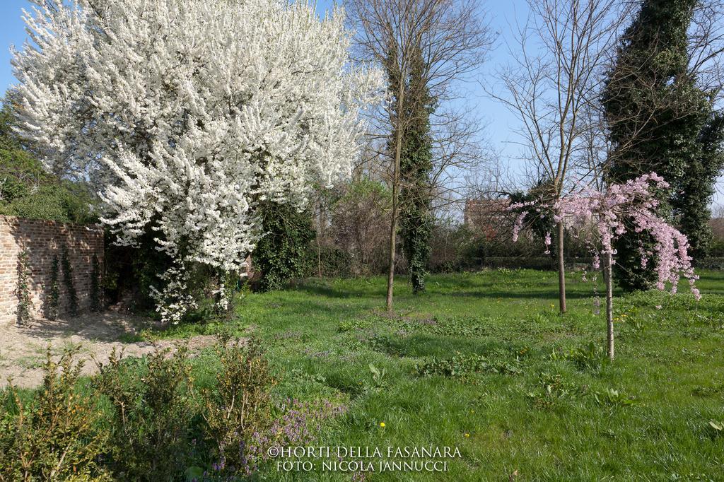 Horti Della Fasanara Ferrara Exterior foto